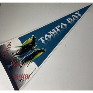Vintage Tampa Bay Devil Rays Felt Pennant 1995 MLB 30”x12” Rare Logo Trench